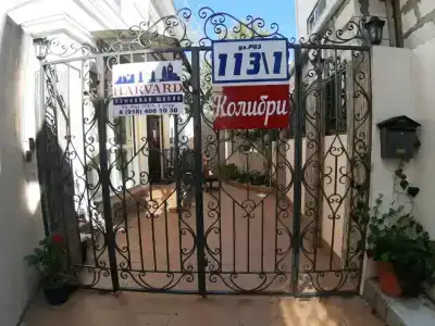 Колибри - 12