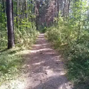 Мафия - 6