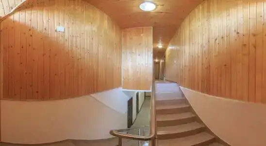 Виолетта - 23