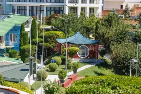 Вязовая роща - 67