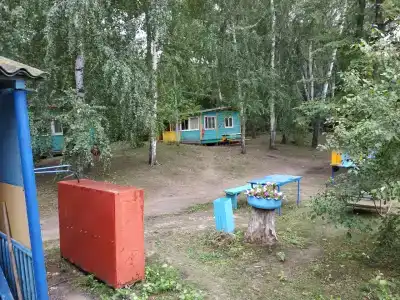 Бодрость - 35