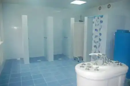 Борок - 12
