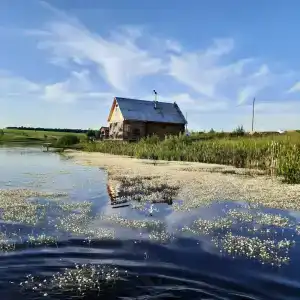 Золотая рыбка - 0