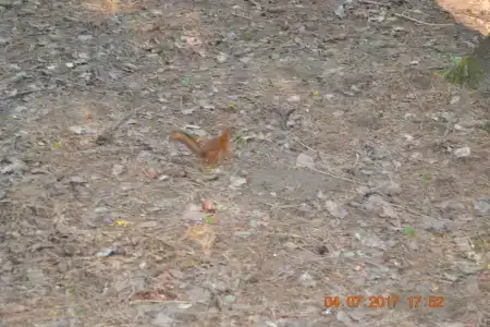 Прудок - 2
