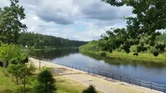 Березинская Дубрава - 13