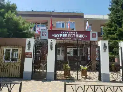 Буревестник - 41