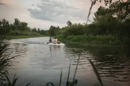 Forest river - 1