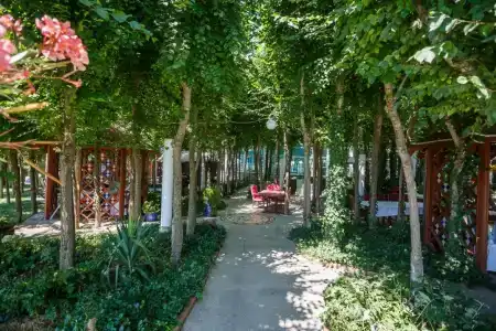 Вязовая роща - 93