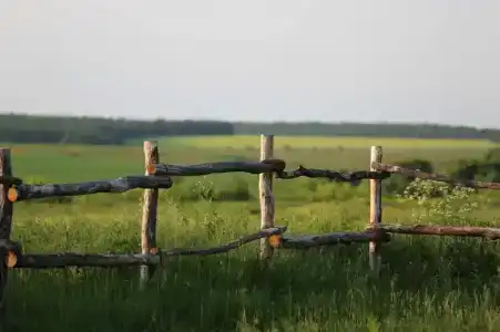 Богатица - 5