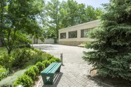 Мечта Тея - 69