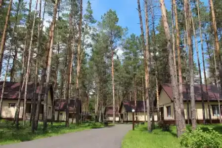Сосновый Бор - 9