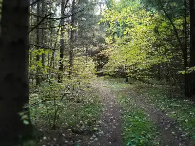 Кемпинг в Петрищево - 6