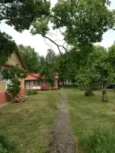 Пады - 0