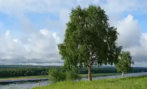 Серёгово - 0