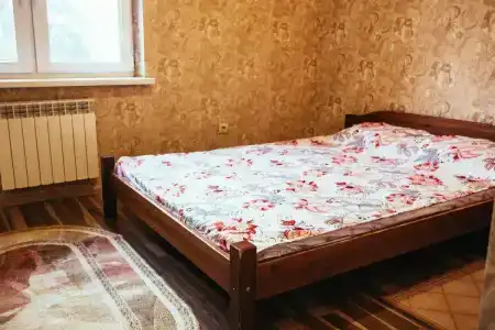 Черепаха - 37