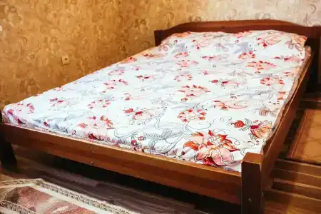 Черепаха - 8