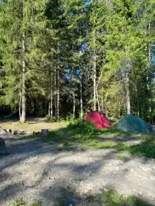 Карелия Парк - 61