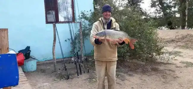 Левада - 81