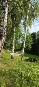 Звежье - 36