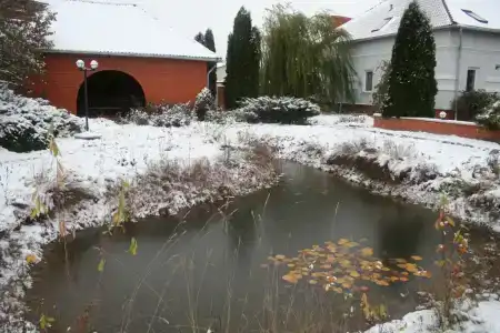 Трактир у Прокопа - 22