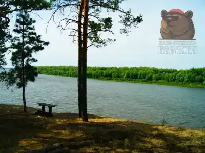 Берлога - 39