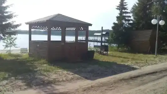 Березка - 44