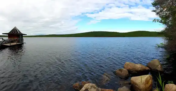 Коккосалма - 64