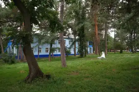 Пады - 12