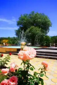 Солнечный - 20