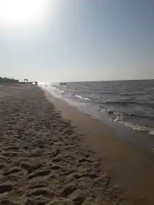 Украина - 20
