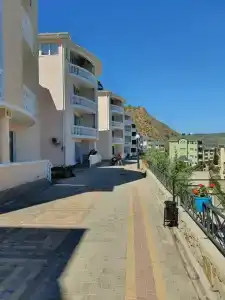 Алустон - 55