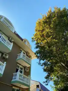 Мини отель Асхо - 19