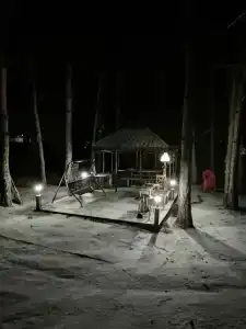 Домик в лесу - 14