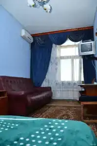 у Митрофановича - 21