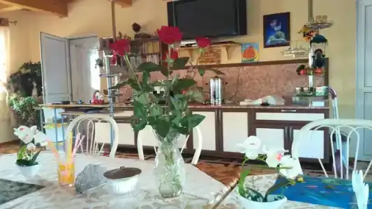 Светлана - 10