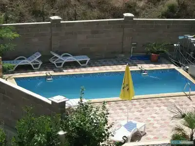 Фламинго - 6