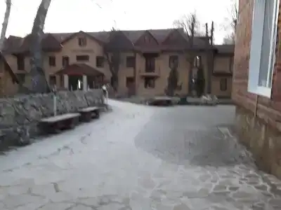 Русский Лес - 8