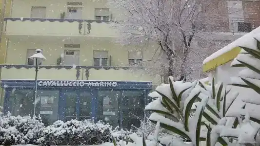 Cavalluccio Marino - 8