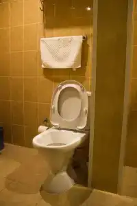 Murmansk Discovery - Discovery - 20