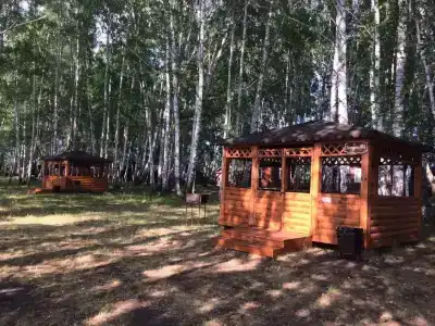 Березка - 11