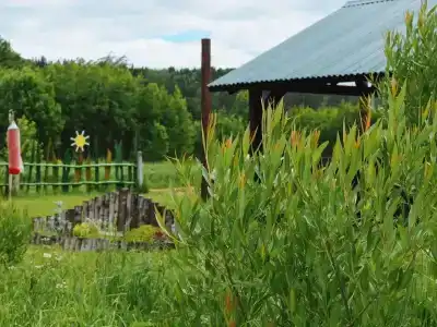 База отдыха у Михалыча - 6