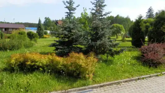 Петровские дачи - 16