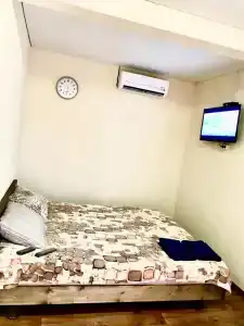Сосновый бор - 13