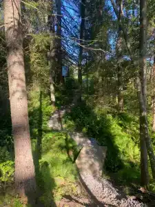 Карелия Парк - 63