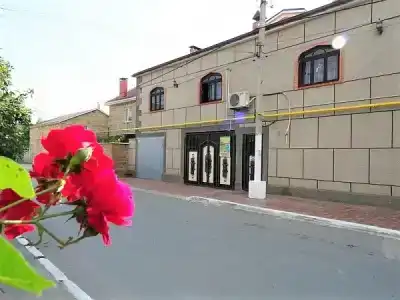 Гульнара - 3