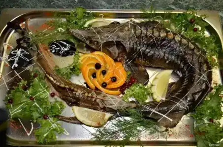 Комплекс Лесной - 40
