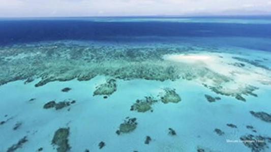 Mercure Rimini Lungomare - 36