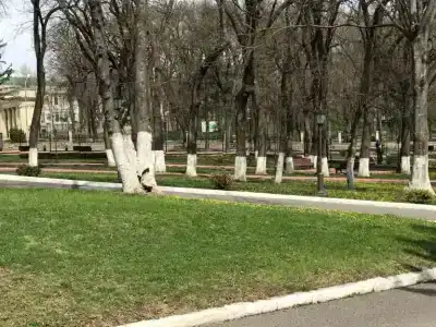 Дон - 89