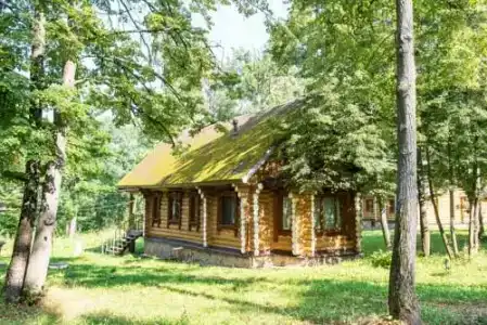 Серебряный век - 53