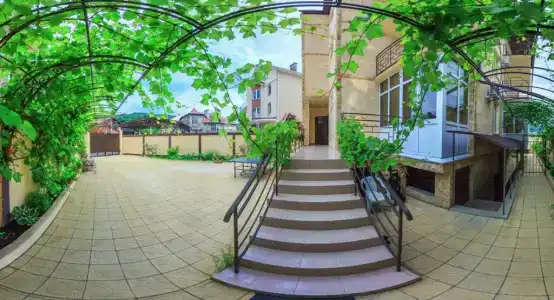 Виолетта - 5